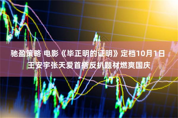 驰盈策略 电影《毕正明的证明》定档10月1日 王安宇张天爱首搭反扒题材燃爽国庆