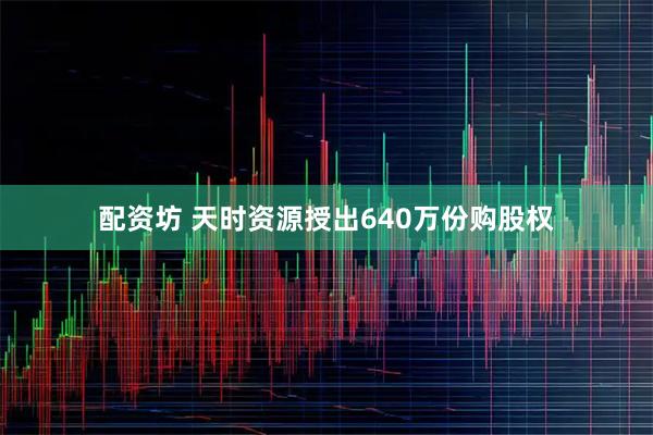 配资坊 天时资源授出640万份购股权