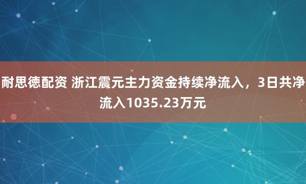 耐思徳配资 浙江震元主力资金持续净流入，3日共净流入1035.23万元