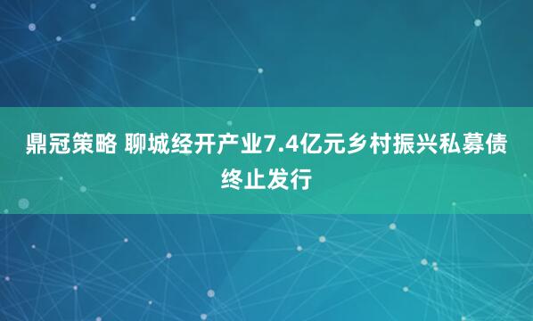 鼎冠策略 聊城经开产业7.4亿元乡村振兴私募债终止发行